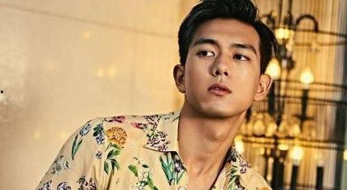 最新娱乐圈吃瓜爆料李现,娱乐圈再掀波澜